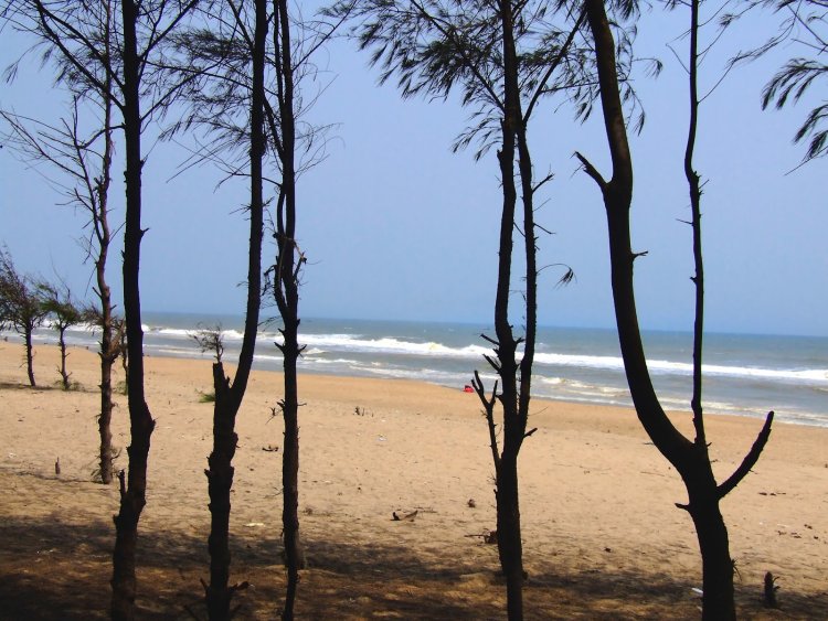 ସମୂଦ୍ର କୂଳ ଜମିମାଫିଆଙ୍କ ବିରୋଧରେ କାର୍ଯ୍ୟାନୁଷ୍ଠାନ : ଓମଟିଭି
